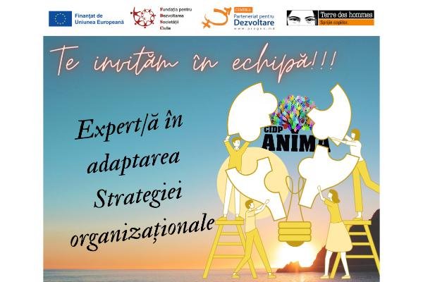 (Română) Concurs de selectare a Expertei/lui în adaptarea Strategiei organizaționale CIDP „ANIMA” pentru următorii 5 ani